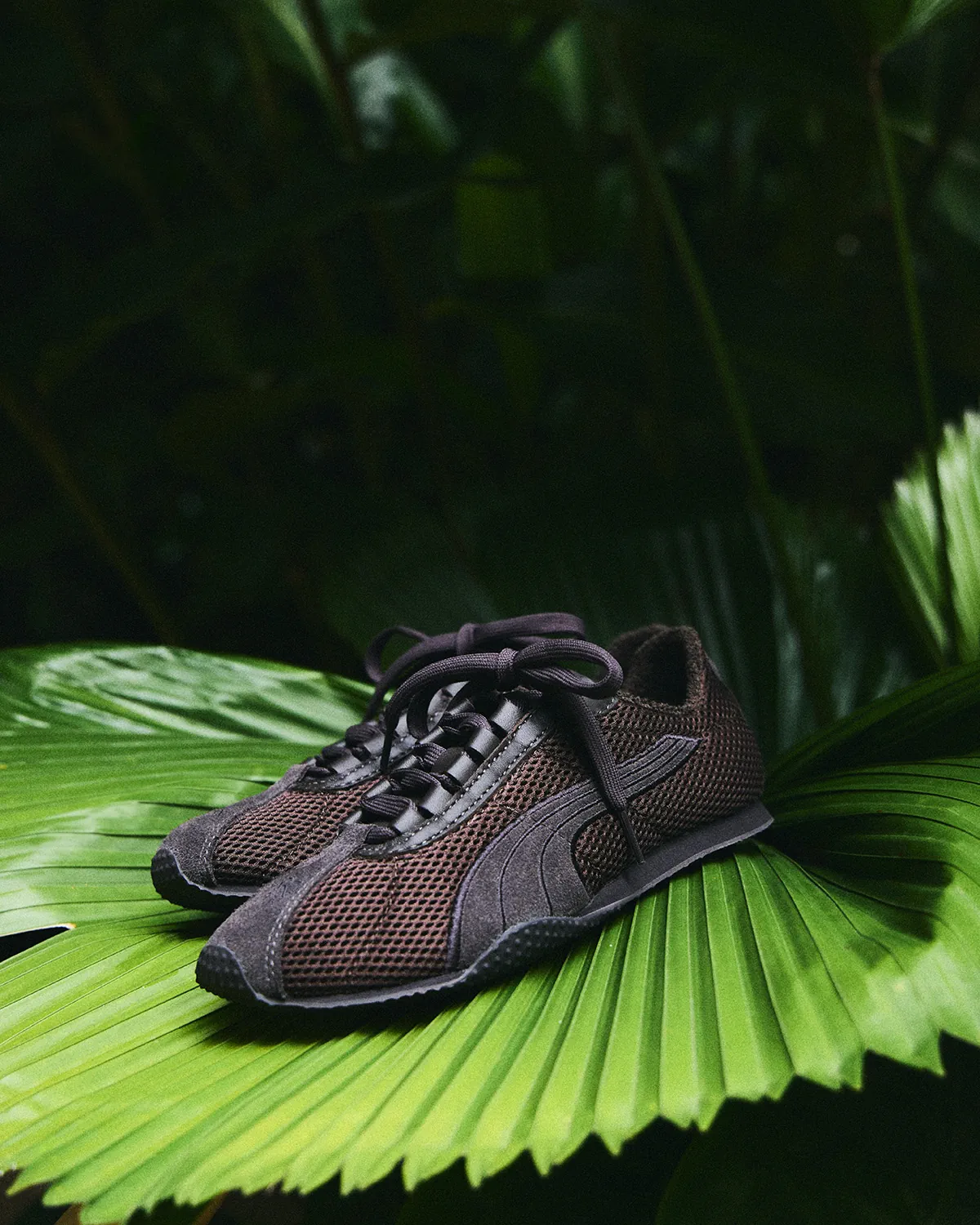 Kith Women và Puma làm mới mẫu giày H-Street kinh điển Kith Women và Puma làm mới mẫu giày H-Street kinh điển