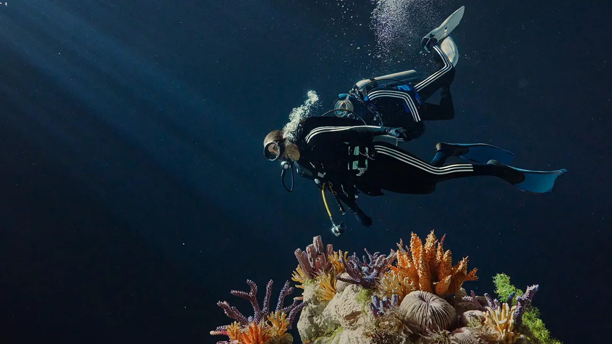 Pharrell Williams và adidas trình làng Virginia Adistar Jellyfish trong sắc cam độc đáo