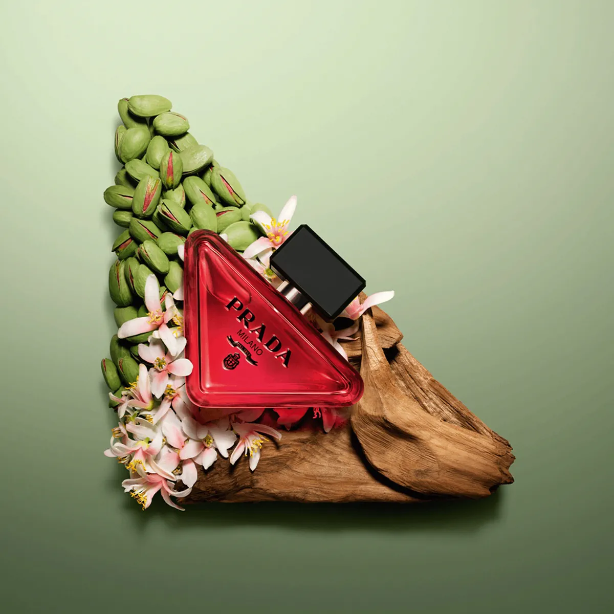 Top 10 nước hoa được yêu thích nhất trên mạng xã hội: Thương hiệu trẻ vượt mặt “ông lớn” xa xỉ Top 10 nước hoa được yêu thích nhất trên mạng xã hội: Thương hiệu trẻ vượt mặt “ông lớn” xa xỉ