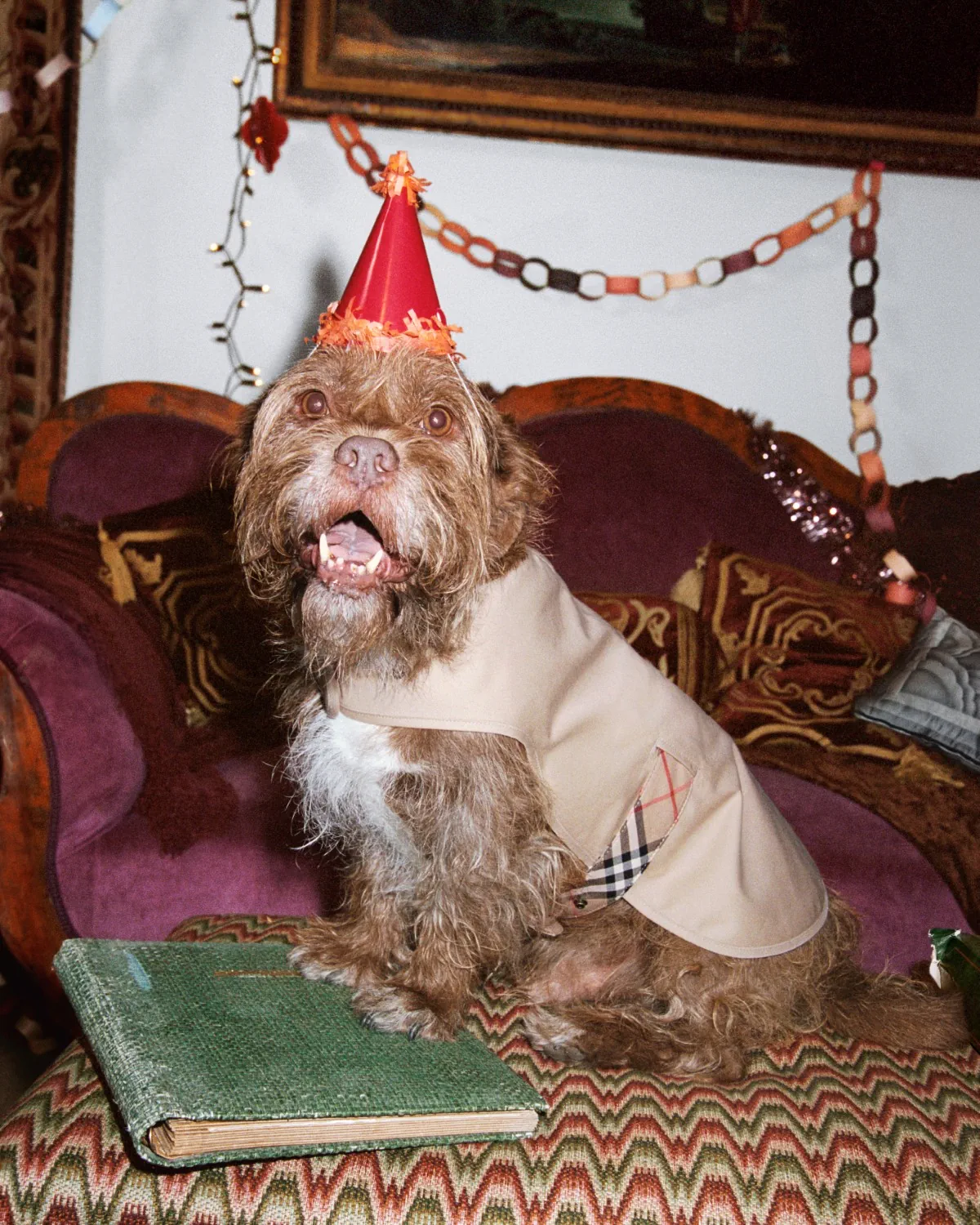 Burberry Holiday 2025: Bữa tiệc sum vầy và chiến dịch quảng cáo đậm chất Anh