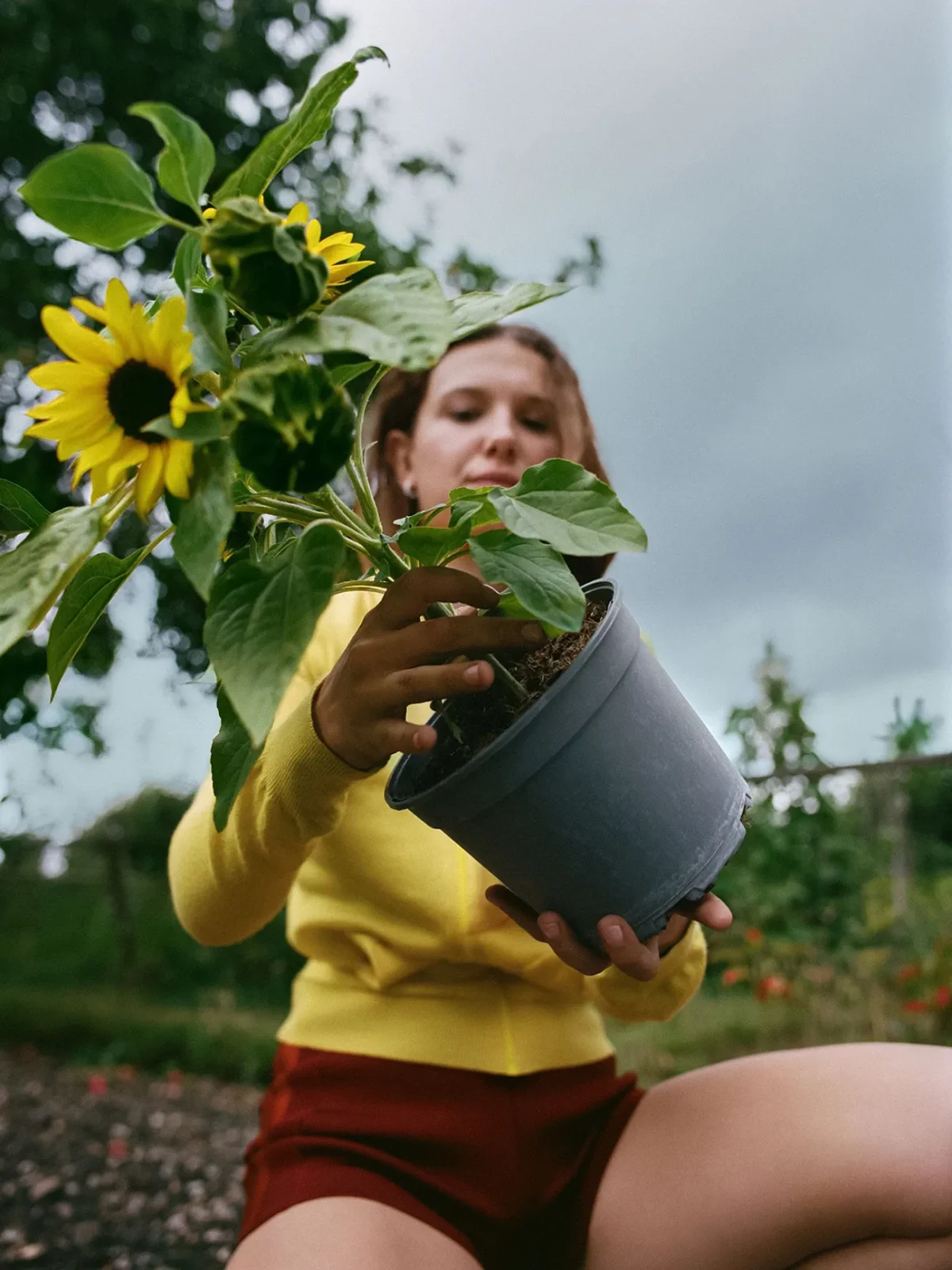 Vogue Anh 12/2025: Millie Bobby Brown chụp bởi Sebastian Faena