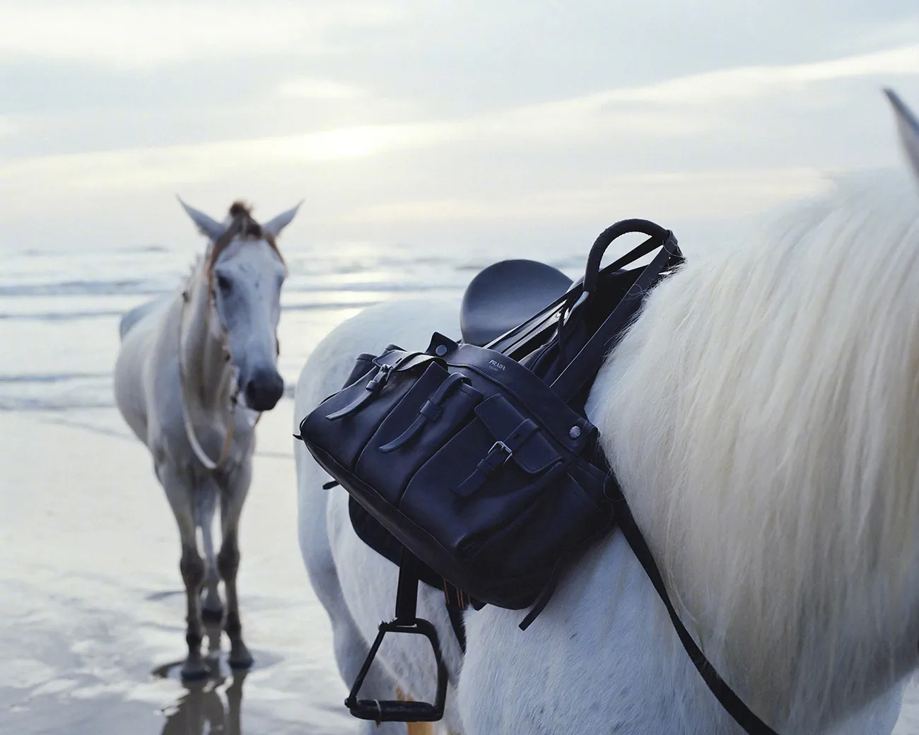 Vogue Trung Quốc 01/2026 : Dương Mịch chụp bởi Leslie Zhang