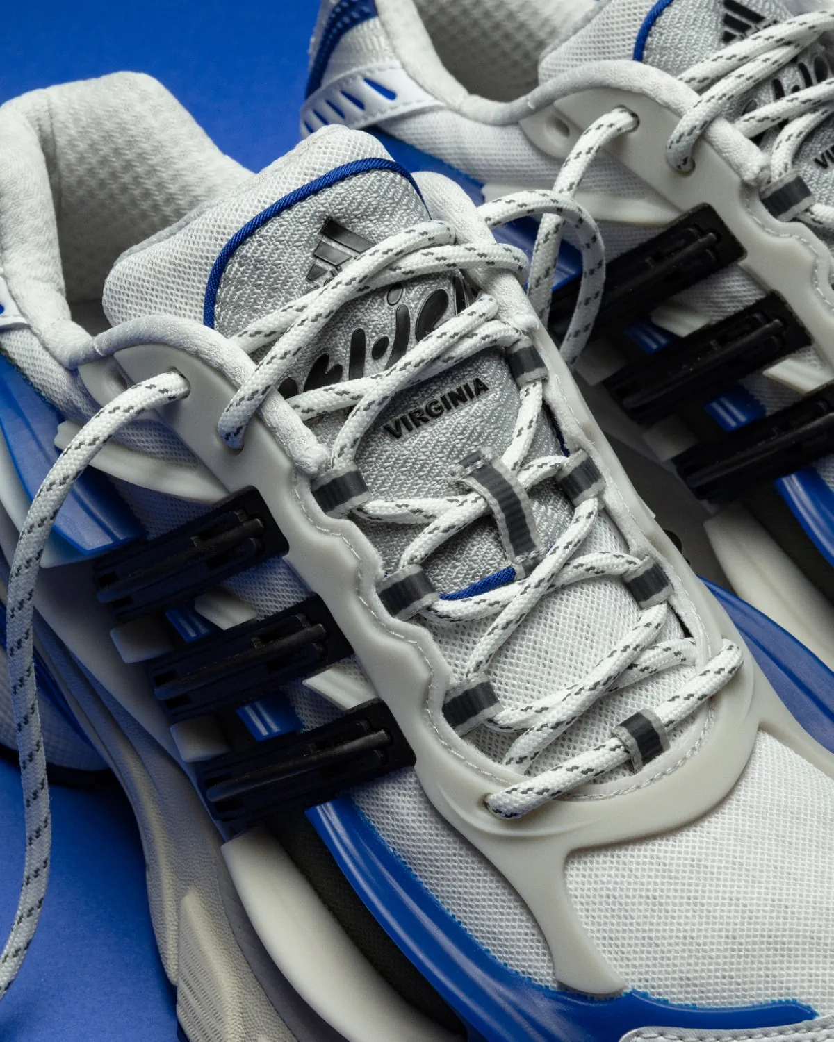 Virginia Adistar Jellyfish phát hành hai phối màu mới Triple Black và Royal Blue Virginia Adistar Jellyfish phát hành hai phối màu mới Triple Black và Royal Blue