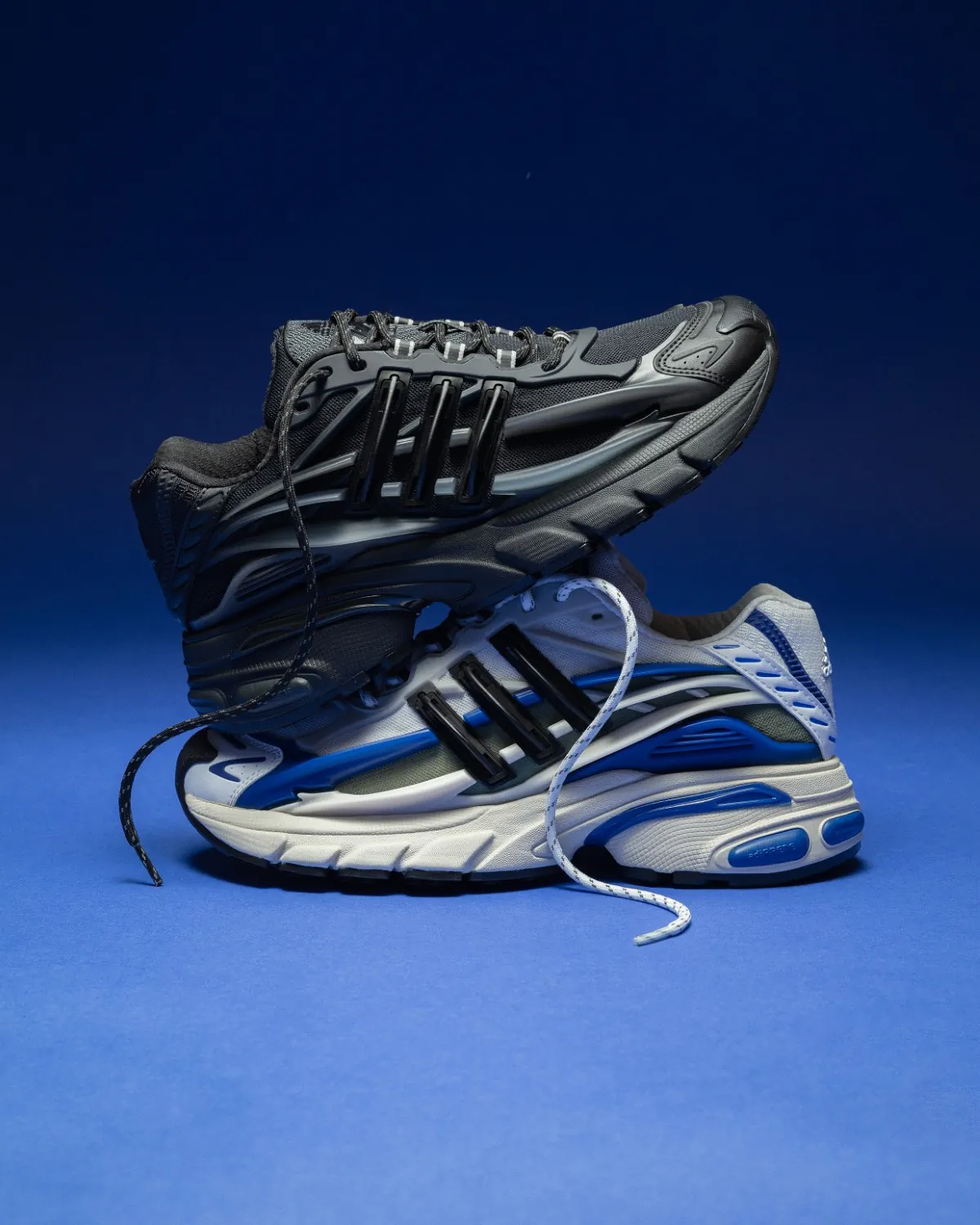 Virginia Adistar Jellyfish phát hành hai phối màu mới Triple Black và Royal Blue Virginia Adistar Jellyfish phát hành hai phối màu mới Triple Black và Royal Blue